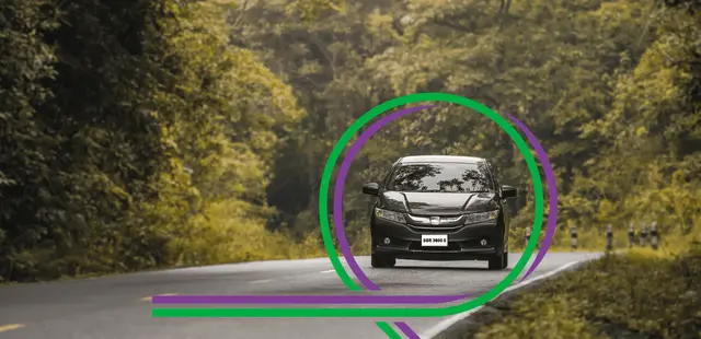 pdvl-tdvl-get-your-license-section-image